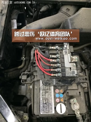 欧亿体育团队