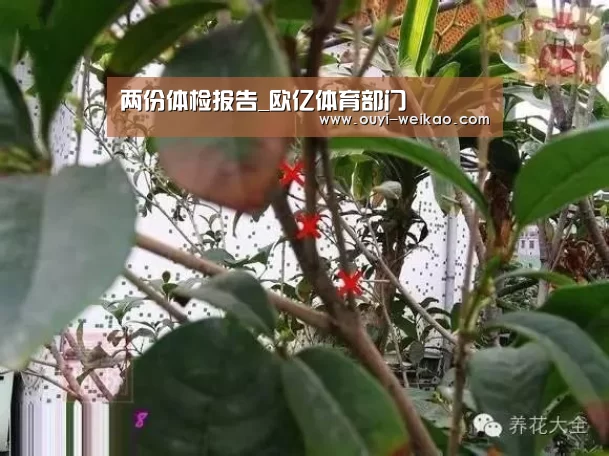 两份体检报告_欧亿体育部门(图1) 欧亿体育团队