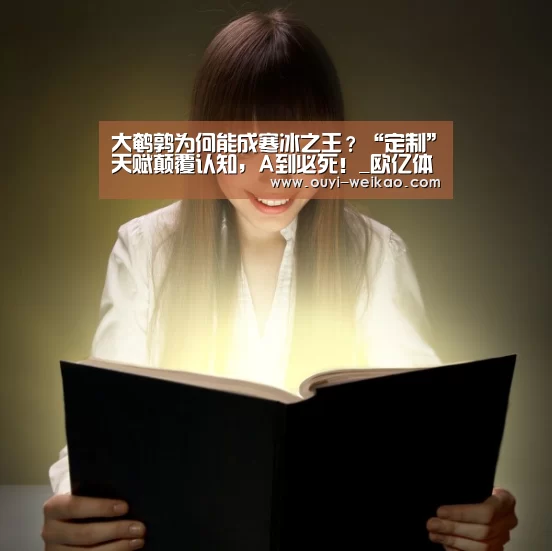 欧亿体育团队