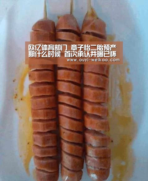 欧亿体育公司