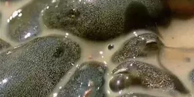 欧亿体育公司