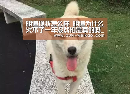 明道现状怎么样 明道为什么火不了一年没戏拍是真的吗_欧亿体育部门(图3) 欧亿体育部门
