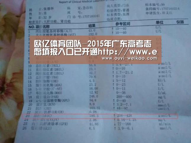 欧亿体育团队