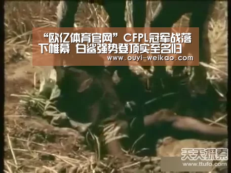 欧亿体育团队